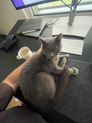 Vojtech working with his cat